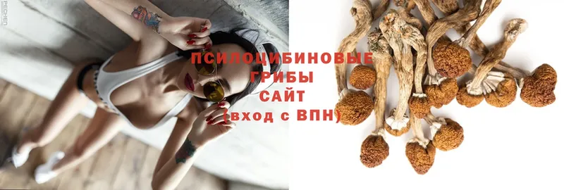 Галлюциногенные грибы Magic Shrooms  блэк спрут как войти  Нарьян-Мар  что такое наркотик 