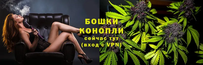 как найти   Нарьян-Мар  hydra вход  Марихуана THC 21% 